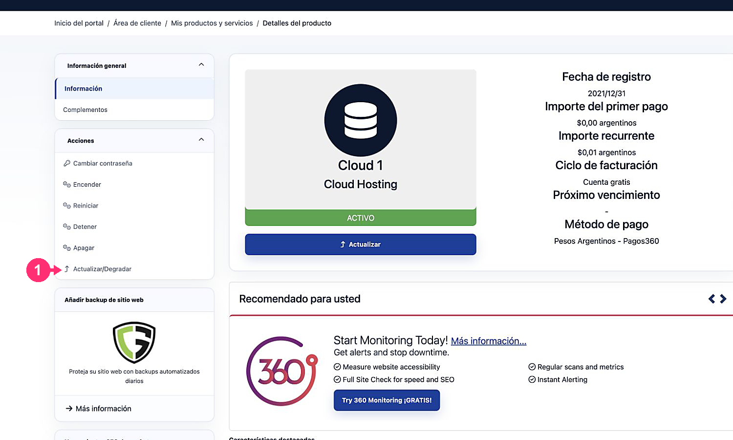 Detalhe de um serviço com a opção Atualizar ou Rebaixar
